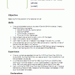 Driver Resume Template