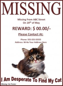 Missing Pet Poster Template | Free Word Templates