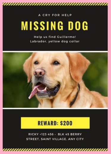 Missing Pet Poster Template3 – Free Word Templates