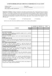 Performance Evaluation Form | Free Word Templates