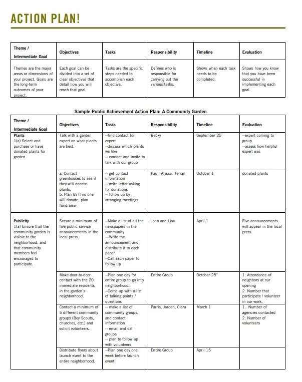 Action and Achievement Plan Template