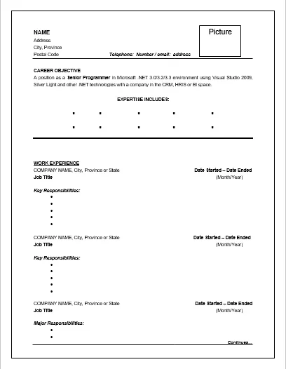 Chronological Resume Template