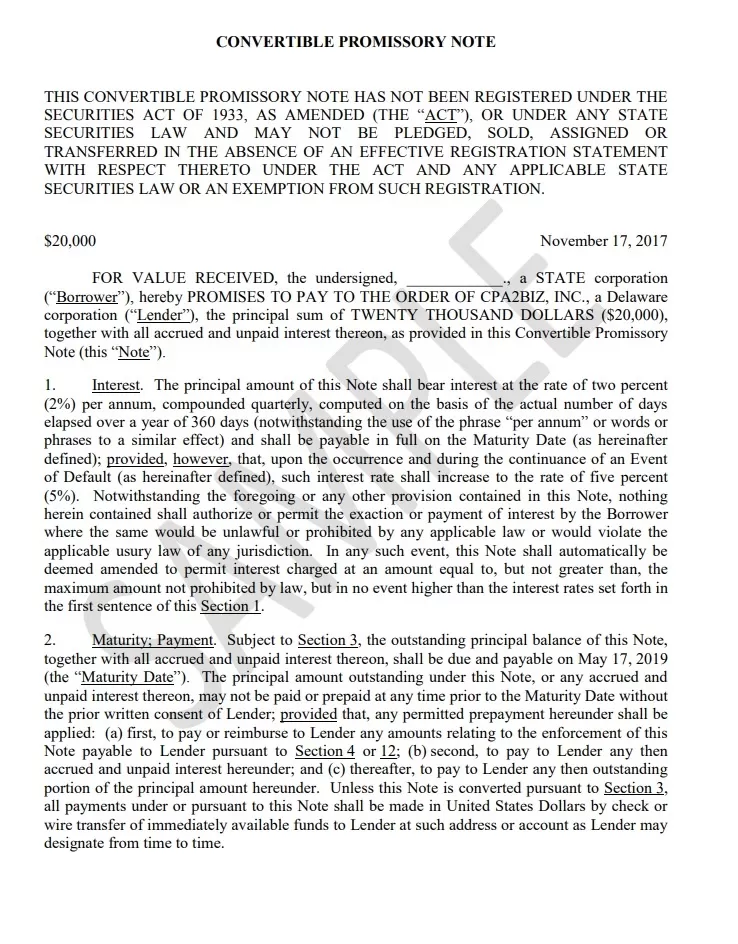 Convertible Promissory Note Template