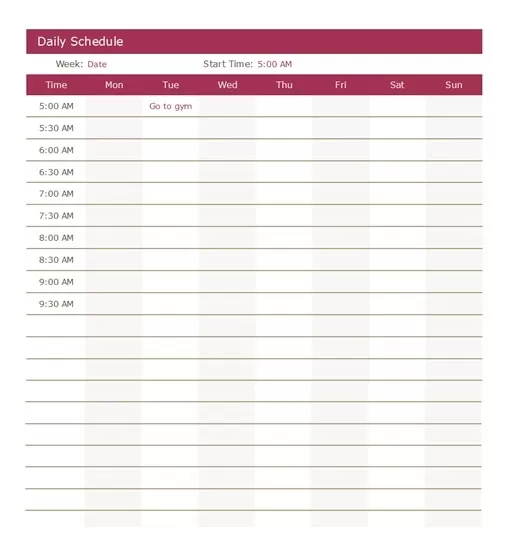 Daily Schedule Format