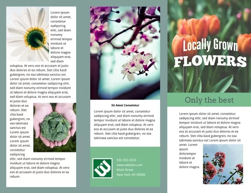 Free Flower Exhibition Pamphlet Template