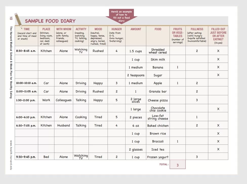 Healthy Food Journal Template