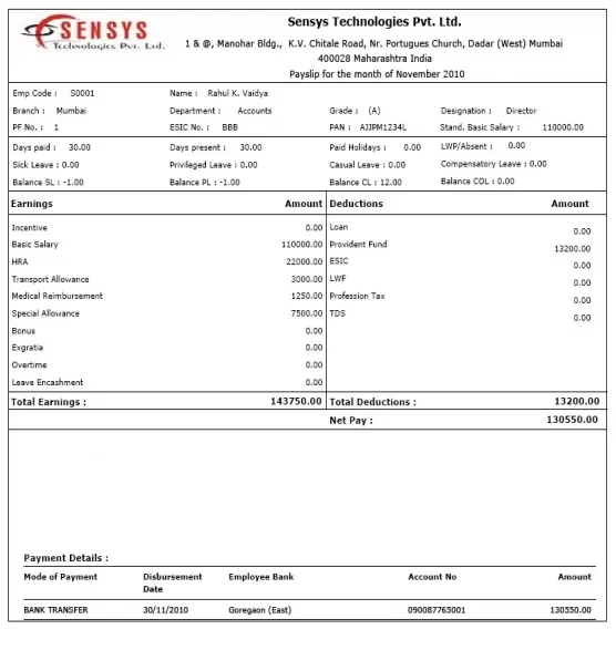 Monthly Payslip Template