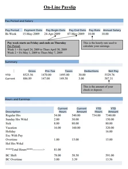 Online Payslip Template