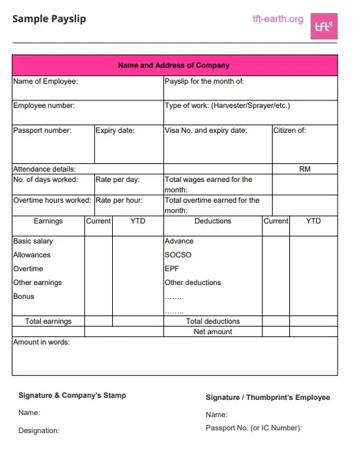 Payslip Example