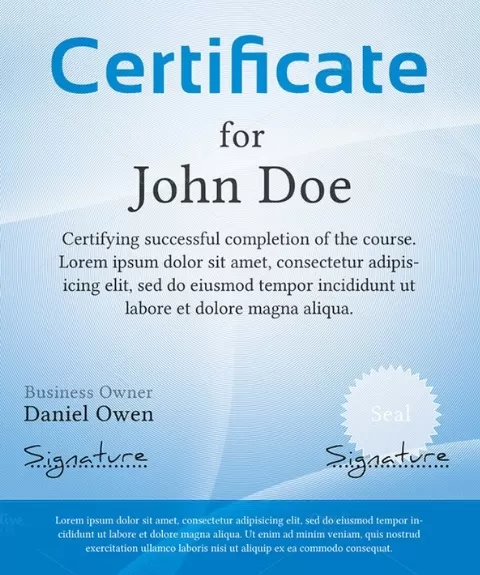 Professional Award Certificate Template