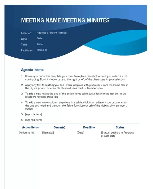 Professional Meeting Minutes Template