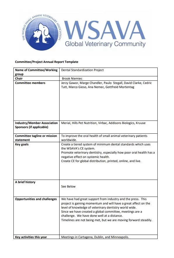 Project Annual Report Template