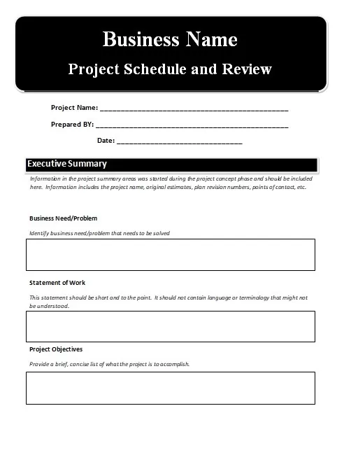 Project Timetable Template