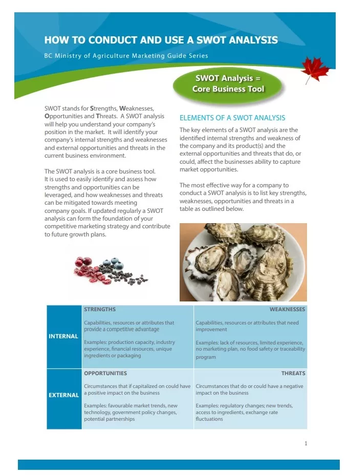 SWOT Analysis Journal Template