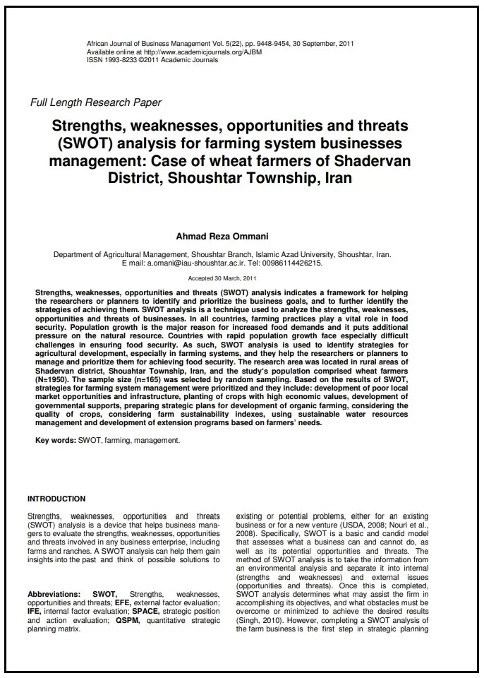 SWOT Analysis Paper Template