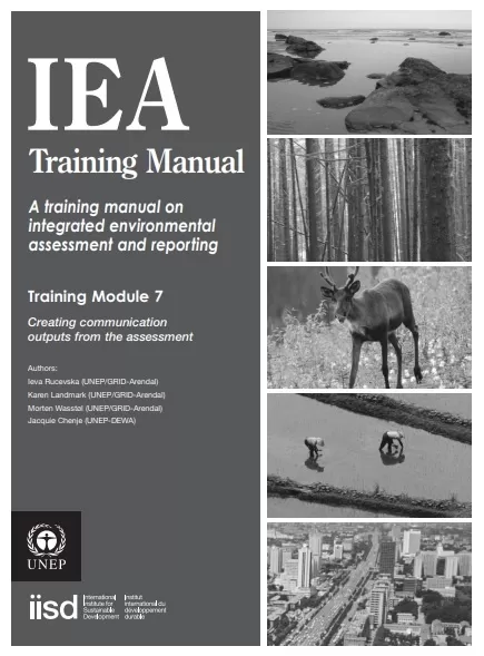 Training Manual Design Template