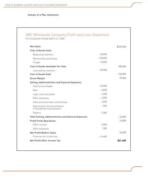 Profit and Loss Statement Format