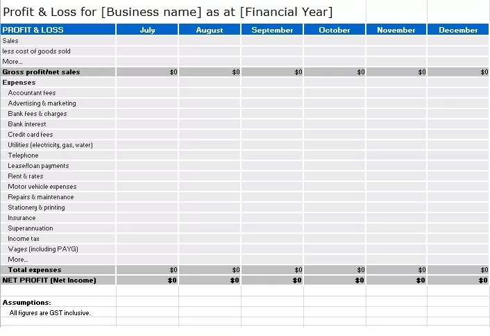 Profit and Loss Statement Template Excel