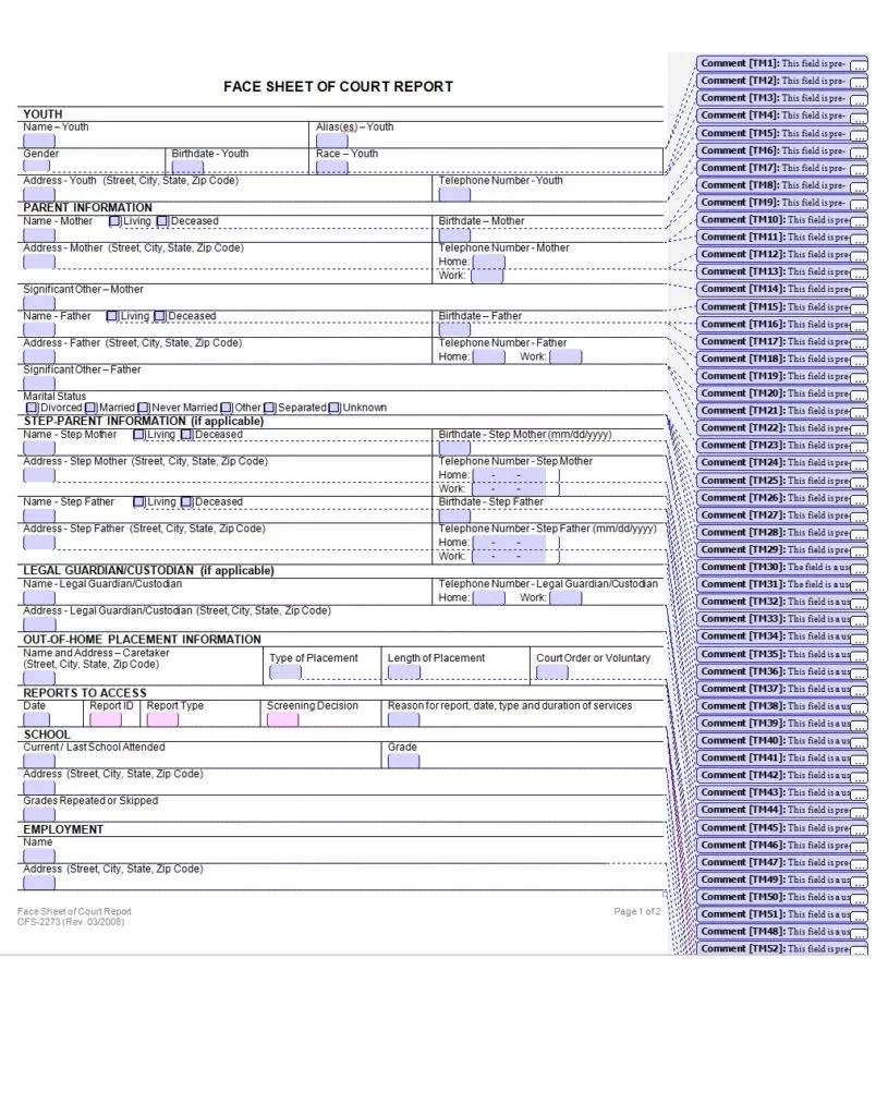 Court Face Sheet Template