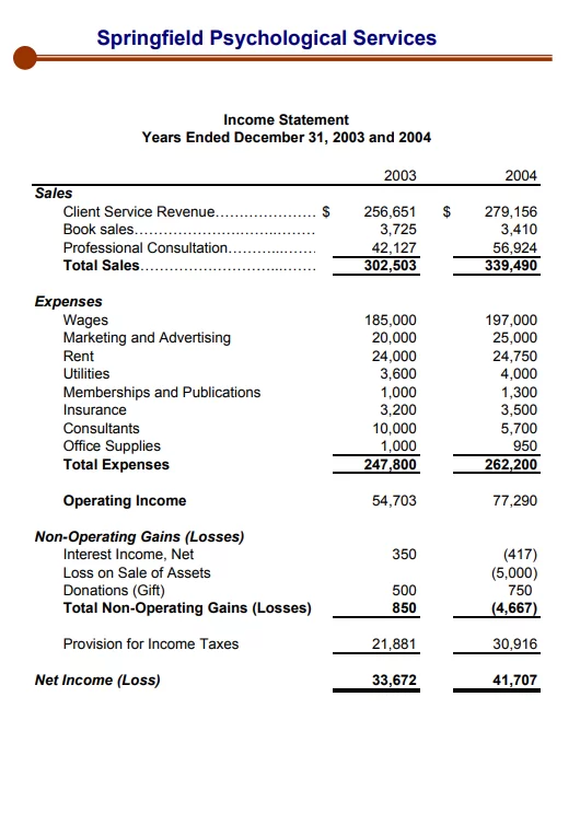 Income Statement Example