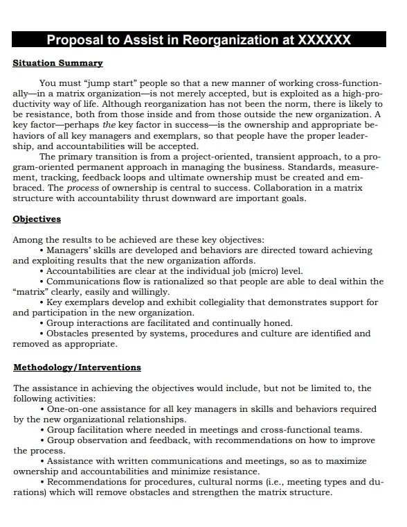 Business Assistance Proposal Template