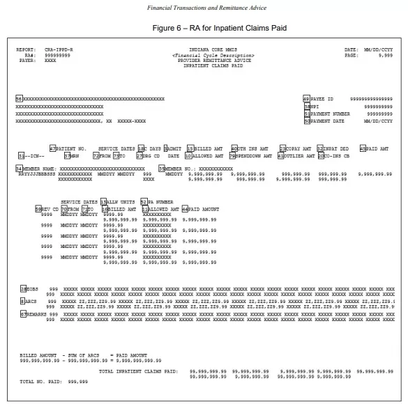 Financial Remittance Advice Format