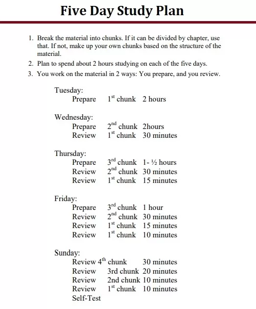 Five Day Study Plan Template