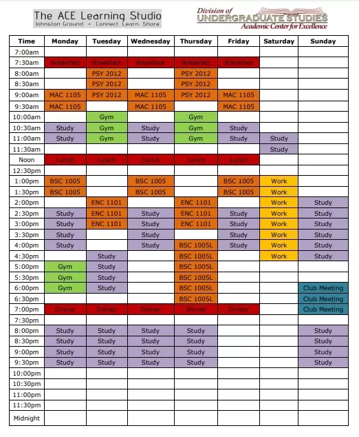 Study Plan Template PDF