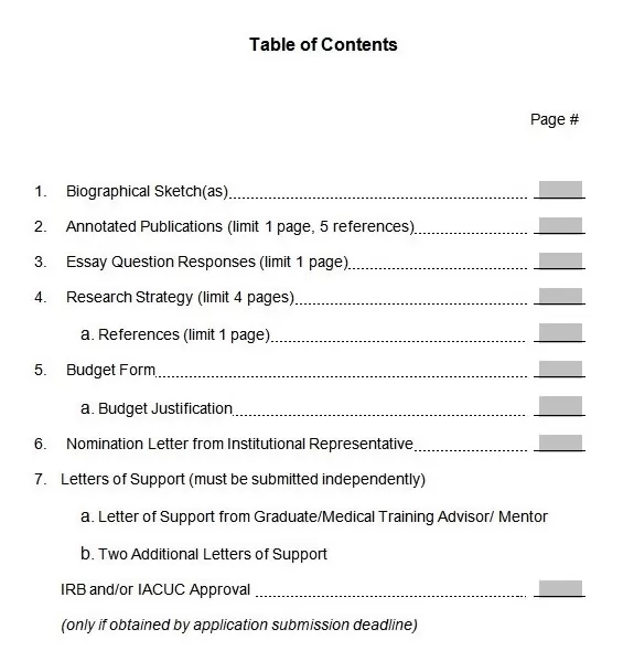 Professional Table of Contents Template