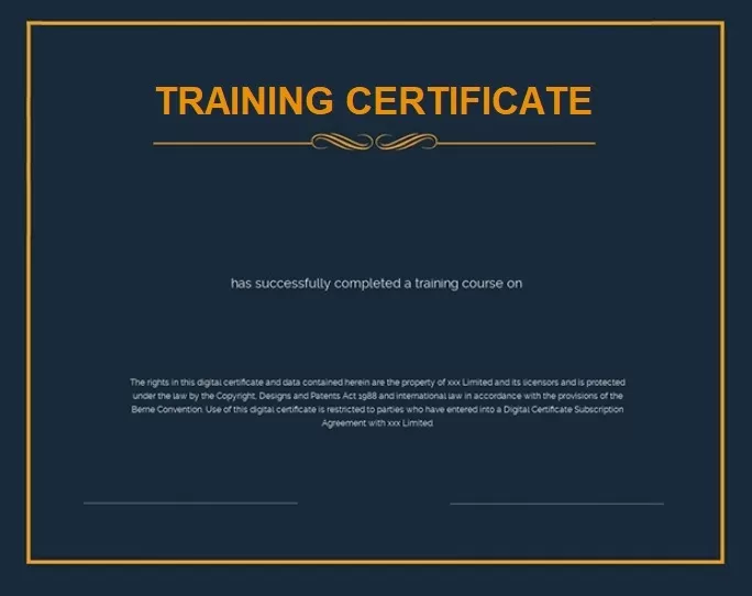 Training Certificate Example