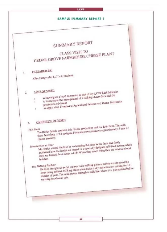 Summary Report Format