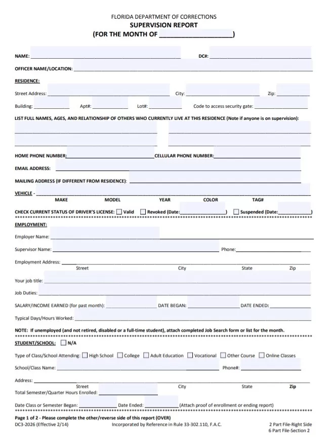 Monthly Supervisor Report Template