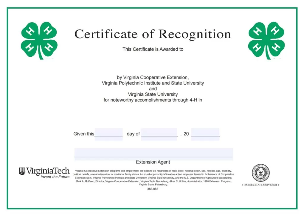 Certificate of Recognition Format