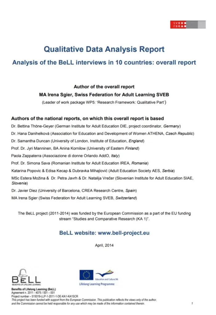 Qualitative Data Analysis Report Template