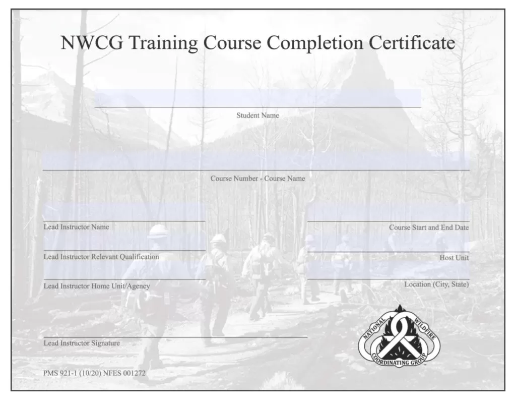 Training Course Certificate Template