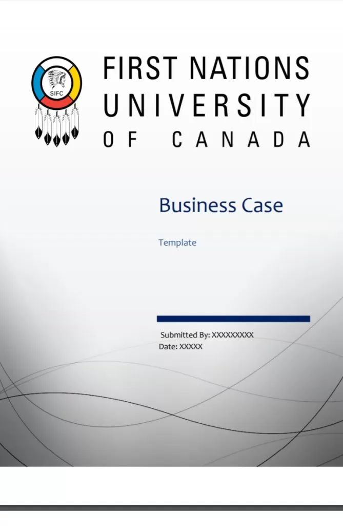 Professional Business Case Template