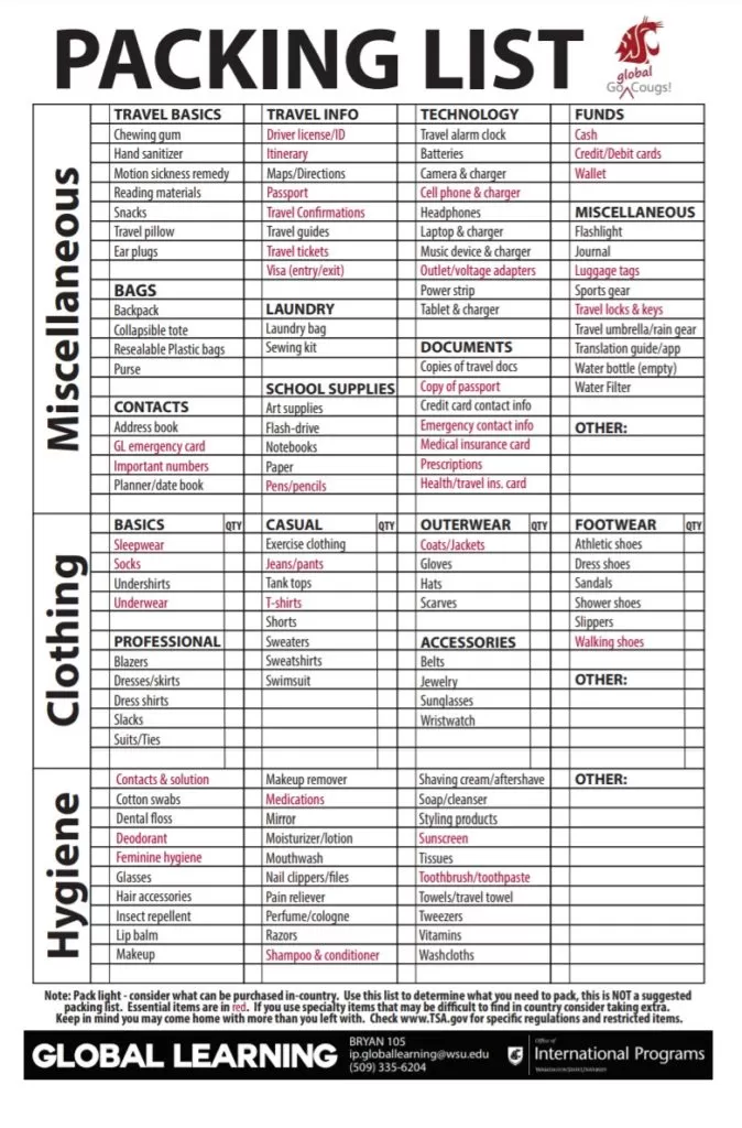 Professional Packing List Template