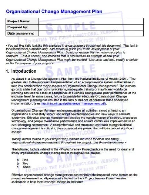 Change Management Planner Template