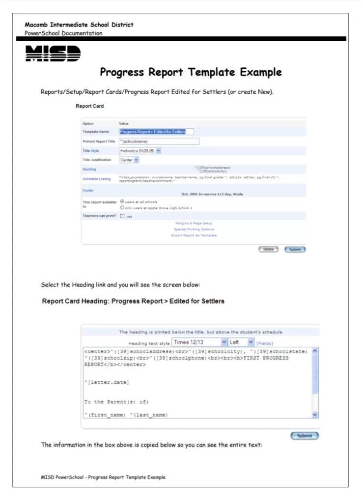 Annual Progress Report Template