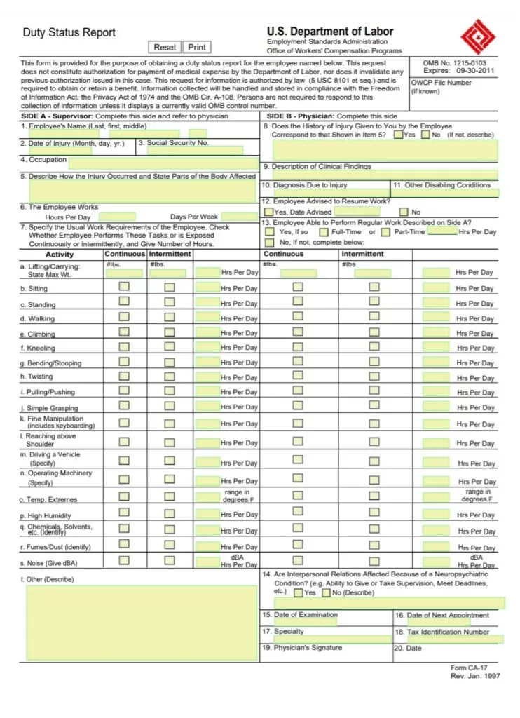 Duty Status Report Template