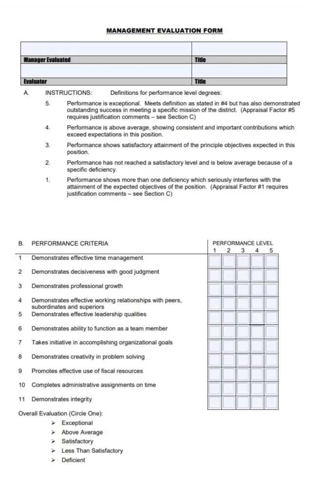 Professional Employee Evaluation Form