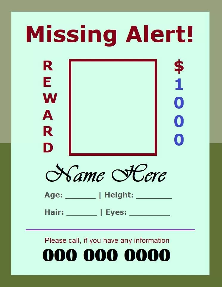 Missing Person Poster Example