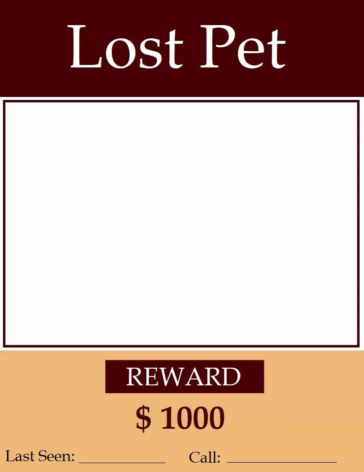 Missing Pet Poster Design Template