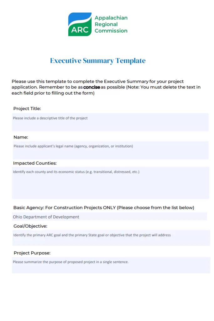 Basic Executive Summary Template