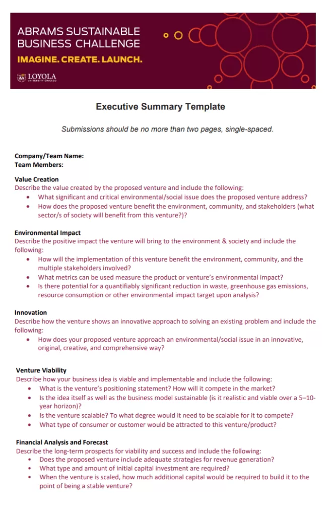 Executive Summary Template for Students