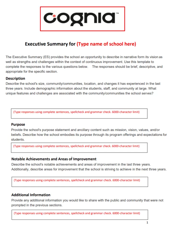 School Executive Summary Template