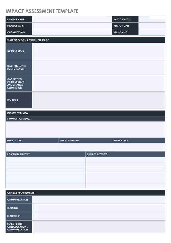 Impact Assessment Format