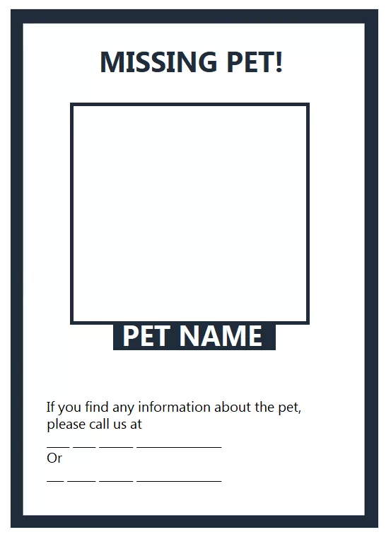 Missing Pet Poster Example