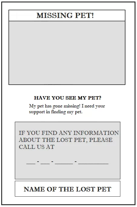 Missing Pet Poster Sample